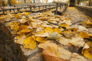 День чудовий: якою буде погода у Запоріжжі 13 листопада