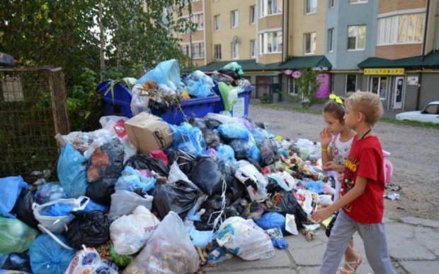Львів на порозі екологічного лиха: вулиці потонули у смітті