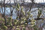 Весна, фото: teren.in.ua