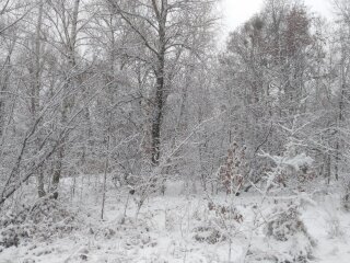 Зима, мороз - фото Знай.ua