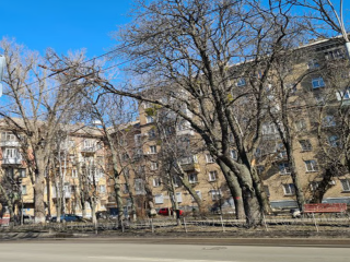 Жилье, недвижимость, изображение из соцсетей