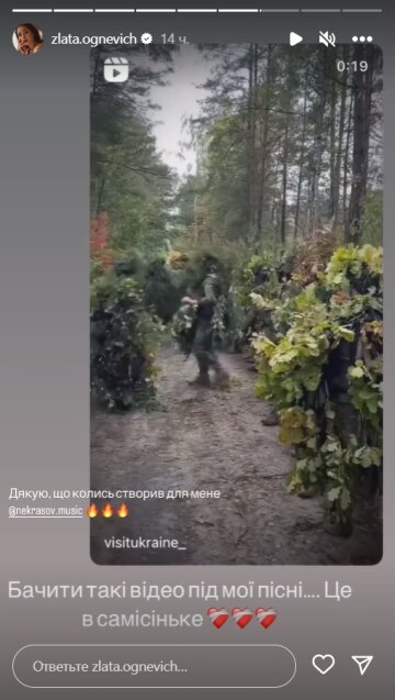 Stories Златы Огневич, скриншот: Instagram