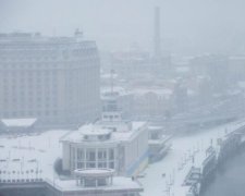 Стихія не перешкода: українців порадували перші весняні квіти