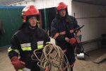 Під Києвом поранена крихітка провела 10 днів у бетонному полоні, - врятувало тільки диво