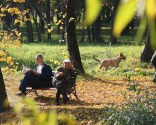 Заморозки і бабине літо: кому пощастить на вихідних