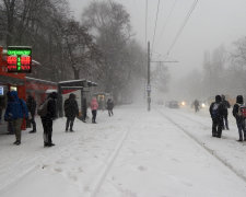 Курс валют на 31 січня: долар знову поступився гривні