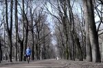 погода в Украине, скриншот из видео