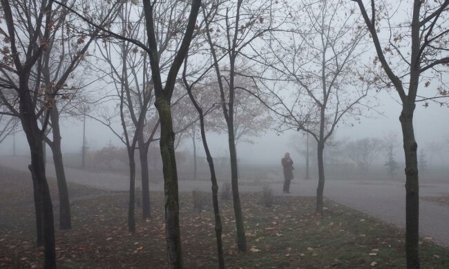 Погода на завтра: Україна з головою закутається в непросвітній туман
