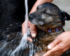 Прогноз погоди на 21 липня: безжальне сонце перетворить Україну на солярій