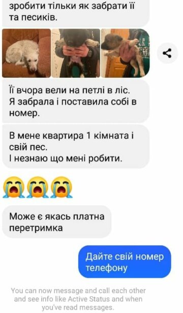 Сообщение / фото: Facebook