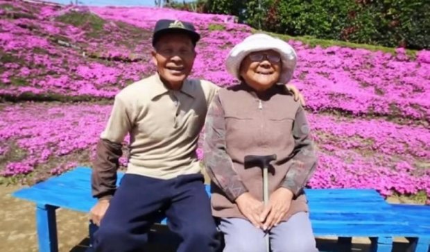 Влюбленный мужчина вырастил во дворе тысячи цветов для слепой жены (фото, видео)