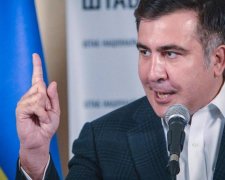 Встал и ушел: брат Саакашвили не задержался в миграционной службе
