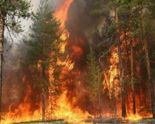 Американця посадять на 20 років за селфі на тлі пожежі в Каліфорнії (відео)