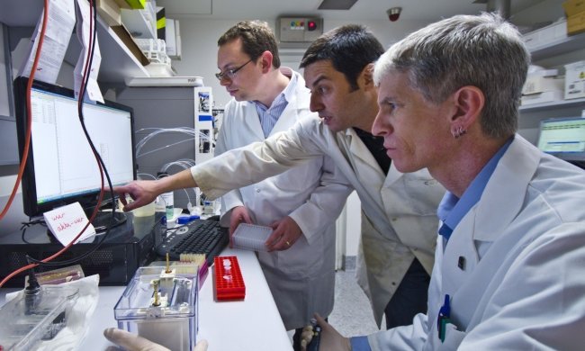 Вчені виявили істоту, яка може жити вічно: єдина на планеті Земля