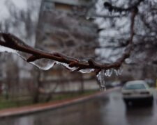 Ожеледиця, крижані дерева - фото Знай.ua