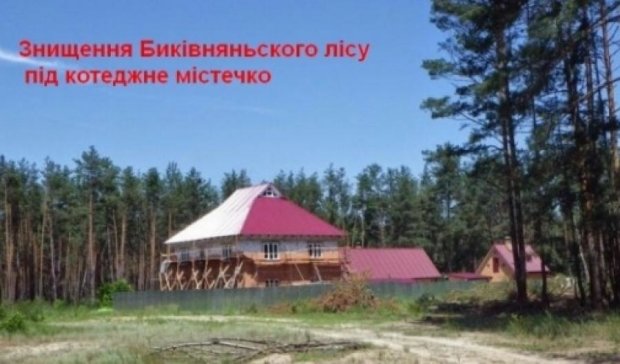 Киевляне против вырубки Быковнянского леса