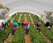 Поляка-нелюда, що кинув помирати українку, суворо покарають