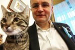Скрін, Instagram кіт Садового