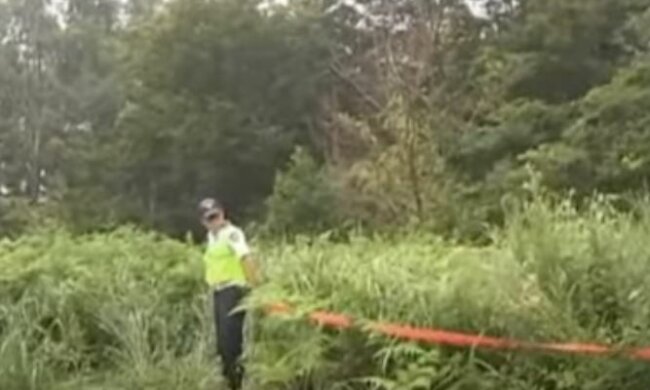 Поліція Сеула, скріншот: YouTube