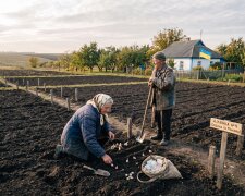 земельна ділянка поле село