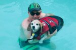 Бигль Вольфган, скриншот: Instagram