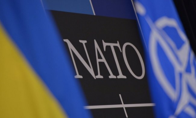 Украина через пять лет будет готова к вступлению в НАТО