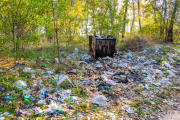 Вонь на весь Днепр: популярное место для отдыха превратилась в свалку, позорные кадры свинства