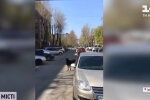 Сміливий баран прийшов "здаватися" в СБУ, але його вигнали