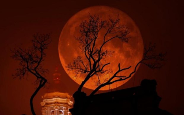 Превращение голубой Луны в кровавого монстра показали в сети