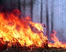 Столица Бурятии в огненной ловушке (видео)