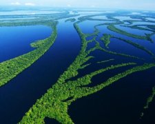 Унікальній природі Амазонки пророчать страшний кінець