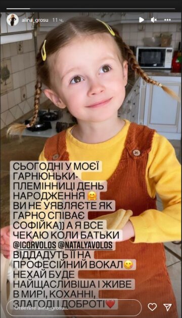 Аліна Гросу, скріншот: Instagram Stories