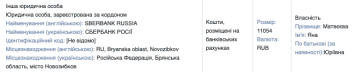 Скріншот податкової декларації