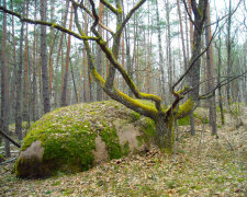 Каменное Село: загадочное место, где исчезают болезни и сбываются желания