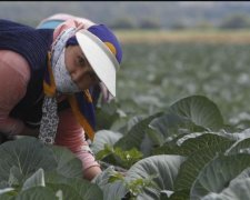 Українські заробітчани перерахували на батьківщину рекордну суму