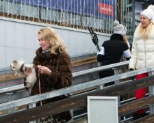 Боляче дивитись: популярний курорт заполонили "тварини" з Росії