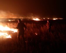 Пожары на Луганщине, фото: facebook.com/pressjfo.news