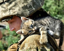 Кто из них котик? Украинские герои показали пушистых любимцев, сеть разрывает от эмоций