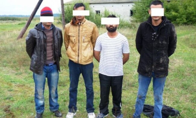 Українські прикордонники затримали пакистанських нелегалів на кордоні з Білоруссю 