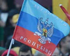 Шпигунка "ЛНР" попалася СБУ (відео)