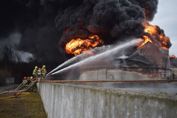 Пожежа в Рівненській області, фото: голова ОДА