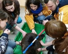 Активісти врятували з капкана бобра