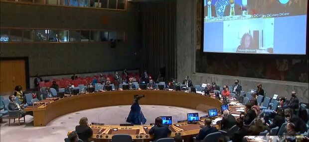 Совбез ООН, фото: скриншот из видео