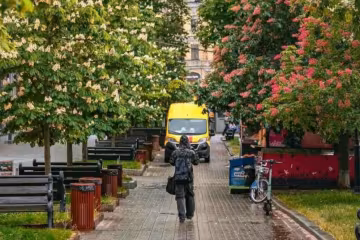 Украинцы, каштаны, фото из соцсетей