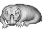 Lystrosaurus у виставі художника, фото: Wikimedia Commons