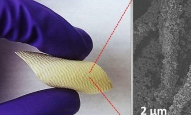 Революційний прорив: вчені навчилися протидіяти хімічній зброї