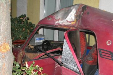 Двое киевлян оказались в плену своего авто из-за ДТП (фото)