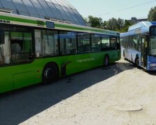 автобуси / скріншот з відео