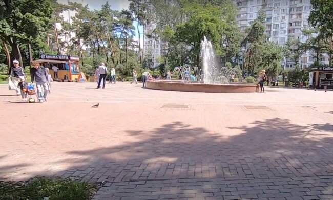 Готувався до 8 березня? У Києві на Дарниці з клумб різко зникли всі тюльпани