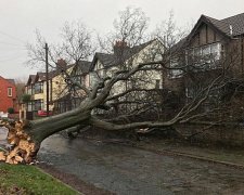 У мережі показали наслідки шторму у Великобританії